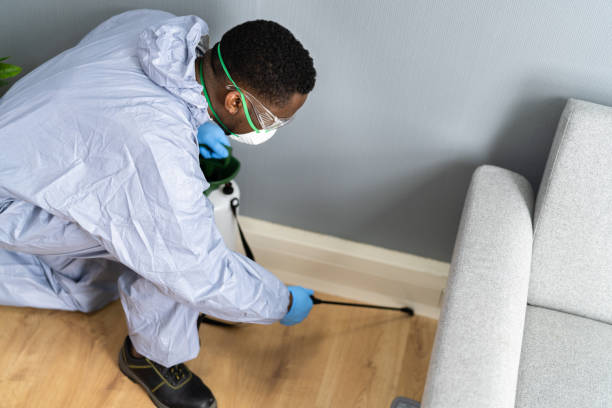 Best Real Estate Pest Inspections  in Mandeville, LA